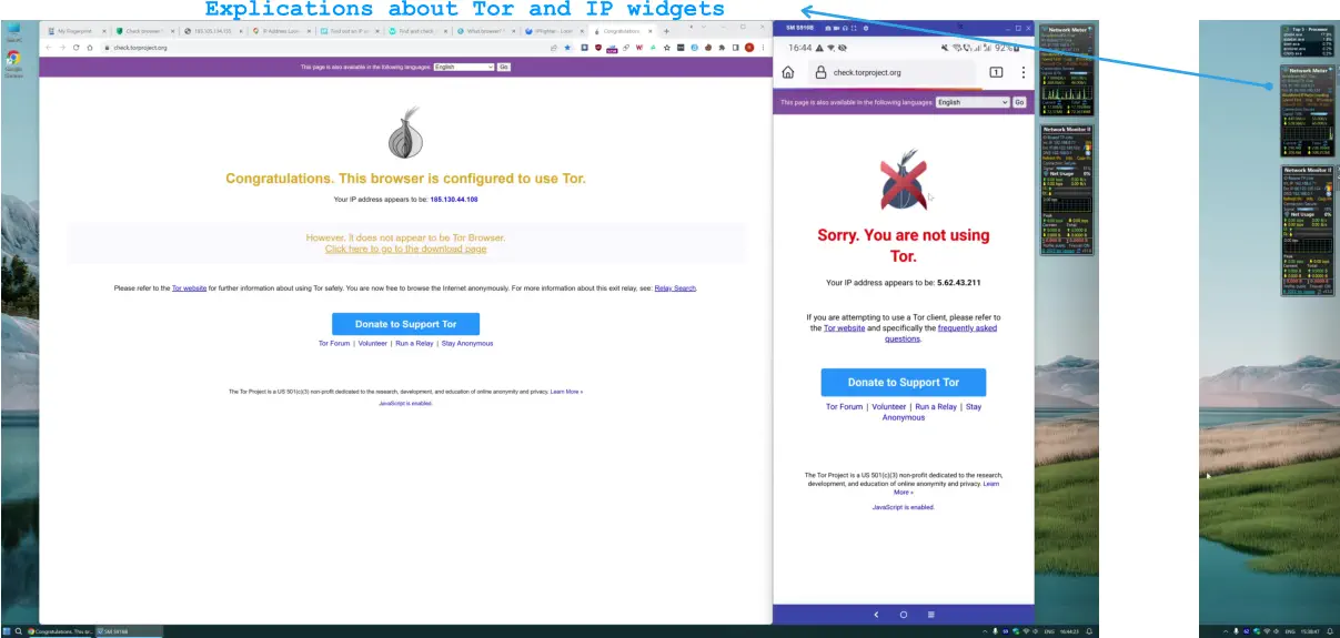 Explications about Tor and IP widgets