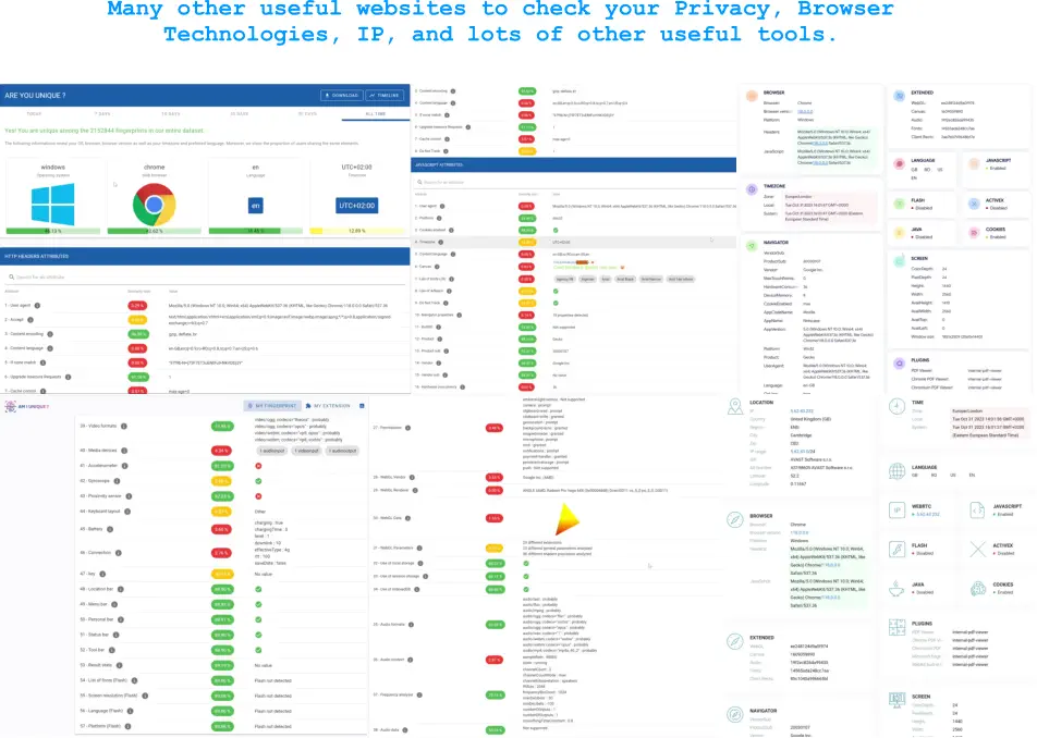 Many other useful websites to check your Privacy, Browser Technologies, IP, and lots of other useful tools.