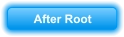 After Root